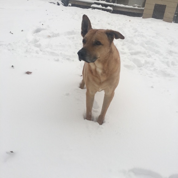 Meet your Posher, Courtney - Picture 3 of 4